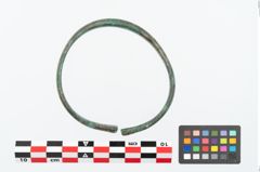 Foto von Bronzearmreif (NHMW-PRAE-026112)
